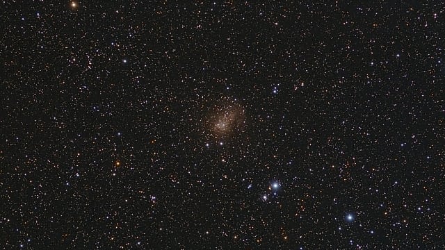 IC 10 IC 10
