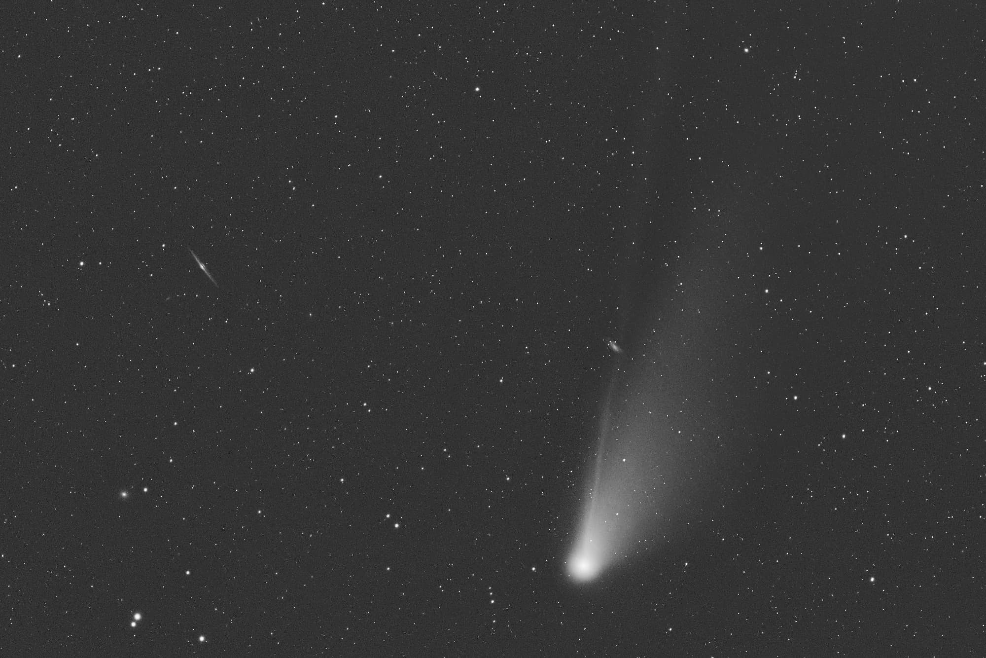 C/2020 F3 Neowise bei NGC 4565 und NGC 4559 Spektrum der Wissenschaft