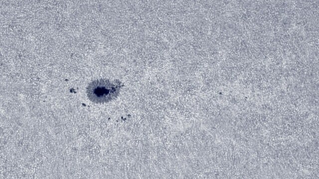 Sonnenfleck Nr. 12824 mit K-Linienfilter Sonnenfleck Nr. 12824 mit K-Linienfilter
