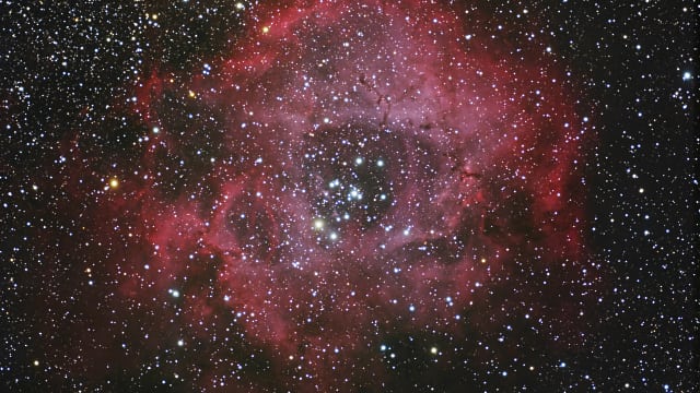 NGC 2238 - Rosettennebel NGC 2238 - Rosettennebel