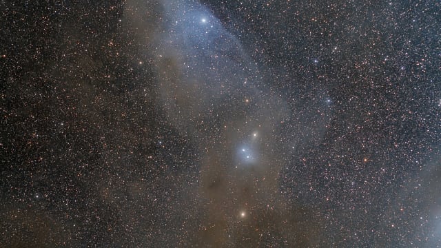 Blue Horsehead Blue Horsehead