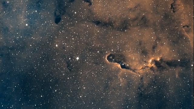 IC1396A Bicolor IC1396A Bicolor