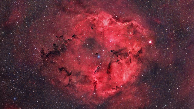 IC 1396 IC 1396