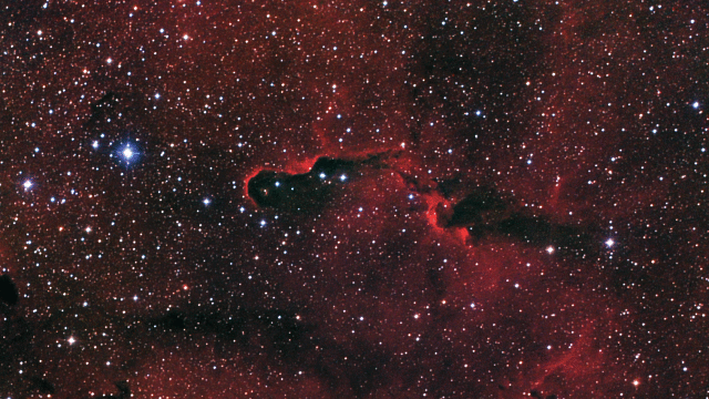 IC 1396/ VDB 142 IC 1396/ VDB 142