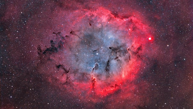 IC 1396 IC 1396