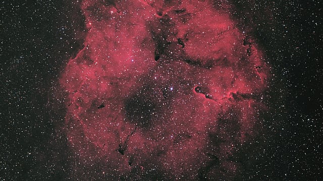 IC 1396 Elefantenrüssel IC 1396 Elefantenrüssel