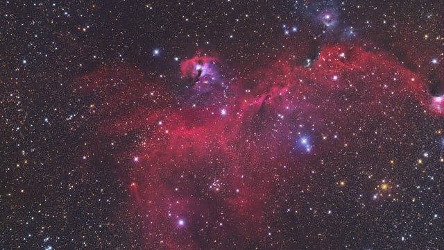 IC 2177 Seagull-Nebel IC 2177 Seagull-Nebel