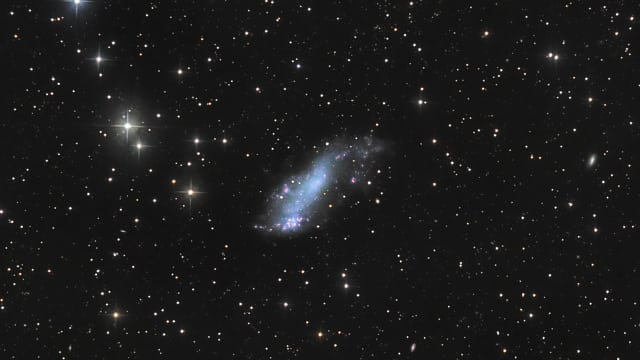 IC 2574 IC 2574