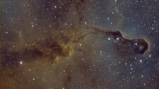 Elephant´s Trunk in IC 1396 Elephant´s Trunk in IC 1396