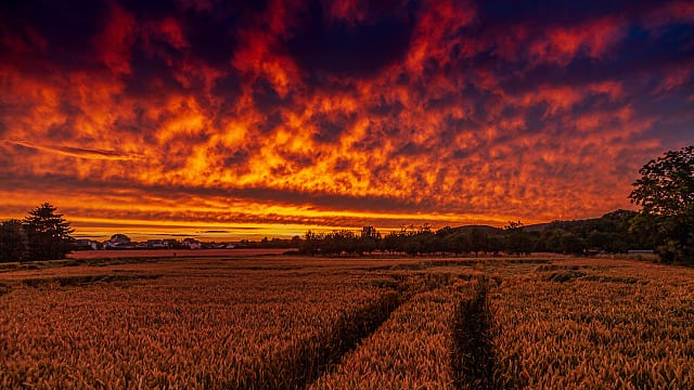 Roter Abendhimmel über Gelnhausen Roter Abendhimmel über Gelnhausen