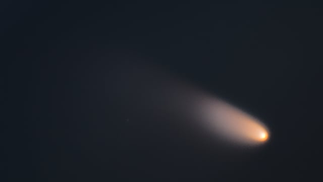 PANSTARRS im DINO PANSTARRS im DINO