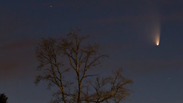 Komet PANSTARRS vom 19.03.2013 Komet PANSTARRS vom 19.03.2013