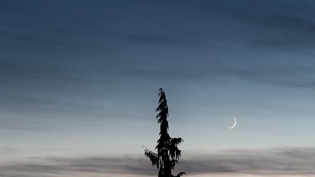 Konjunktion Mond Jupiter Saturn vom 16. Dezember 2020 Konjunktion Mond Jupiter Saturn vom 16. Dezember 2020