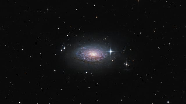 Messier 63 - Sonnenblumen-Galaxie Messier 63 - Sonnenblumen-Galaxie