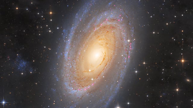 M81 M81