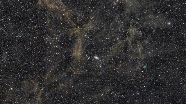 M81 und IFN M81 und IFN