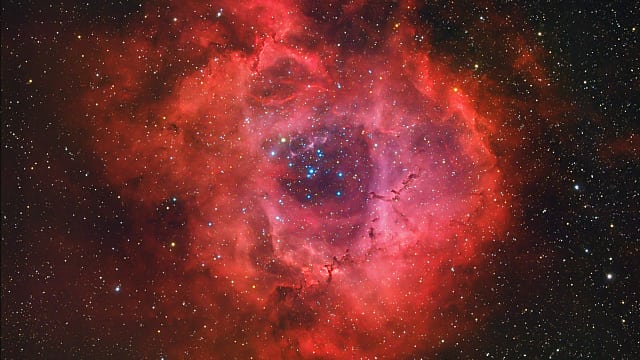 NGC 2237 / NGC 2244 - Rosettennebel NGC 2237 / NGC 2244 - Rosettennebel