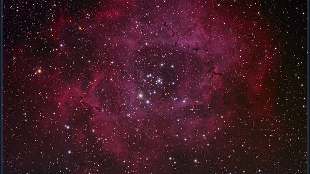 NGC 2244 - Rosettennebel NGC 2244 - Rosettennebel