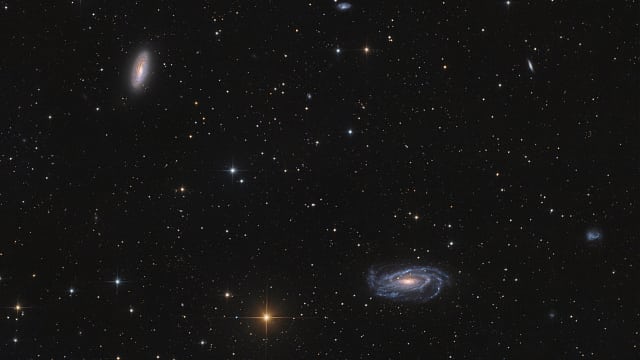 Die Wasserkäfer-Galaxie - NGC 5033 Die Wasserkäfer-Galaxie - NGC 5033