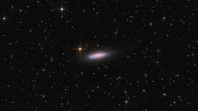 Lost in Space Galaxy - NGC 6503 Lost in Space Galaxy - NGC 6503