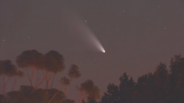 Komet Panstarrs am Horizont Komet Panstarrs am Horizont