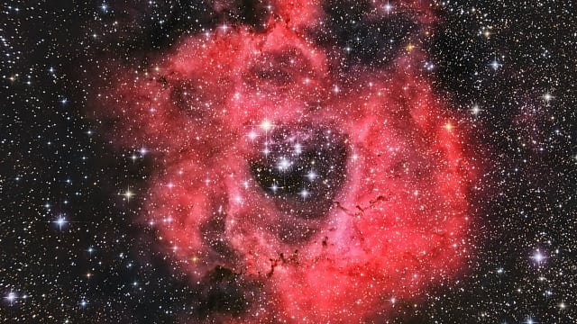 NGC 2237 - Rosettennebel NGC 2237 - Rosettennebel