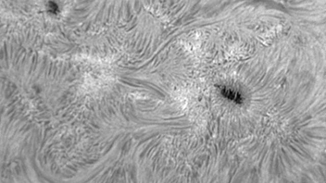Sonne: Aktive Region 11520 in H-alpha Sonne: Aktive Region 11520 in H-alpha