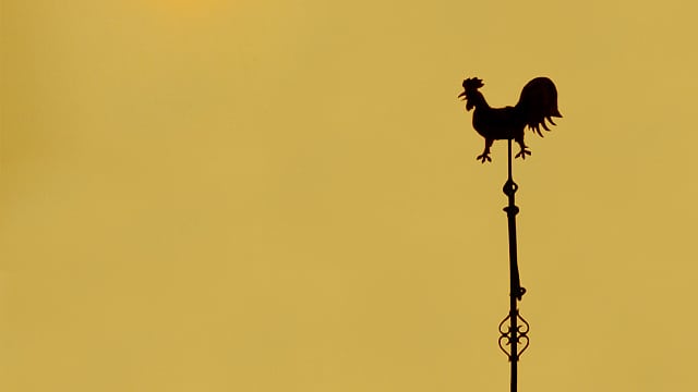 Sonnenfinsternis über Koblenz Sonnenfinsternis über Koblenz