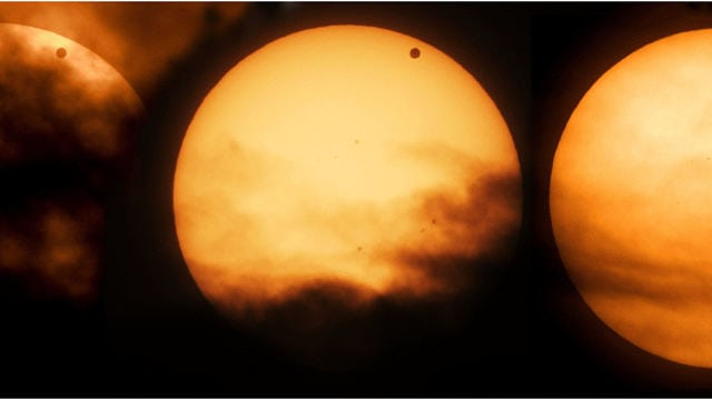 Venus-Show und Ärger mit dem Vorhang Venus-Show und Ärger mit dem Vorhang