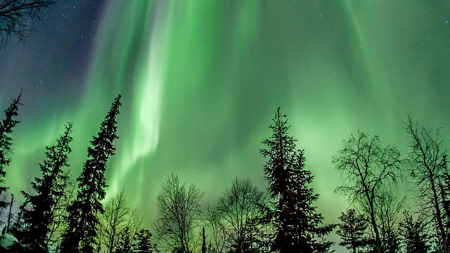 Polarlicht-Vorhänge, Nordfinnland Polarlicht-Vorhänge, Nordfinnland