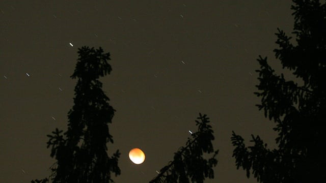 Mondfinsternis hinter Bäumen Mondfinsternis hinter Bäumen