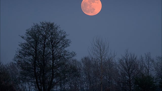 Mond am 25.04.2013 Mond am 25.04.2013