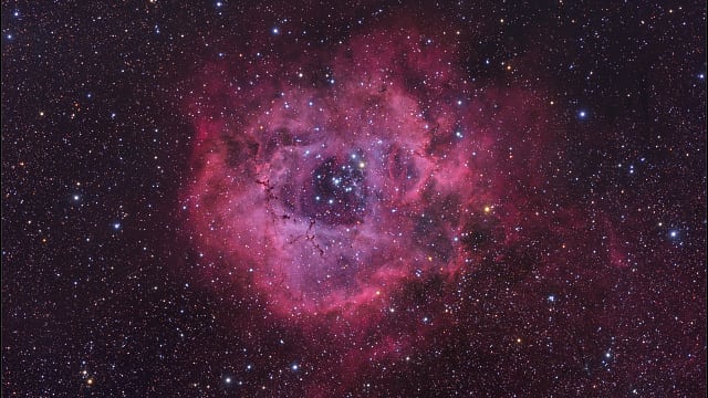 Der Rosettennebel und NGC 2244 Der Rosettennebel und NGC 2244