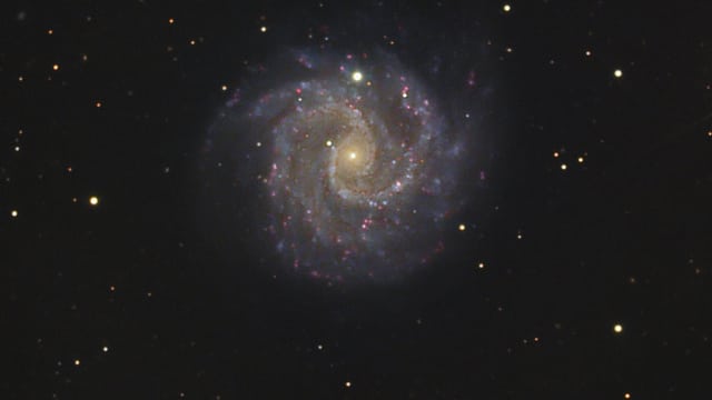 NGC 3184 NGC 3184
