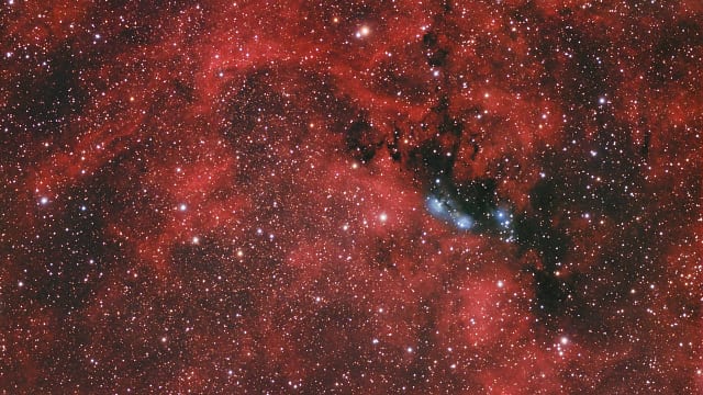 Das Gebiet um NGC6914 Das Gebiet um NGC6914