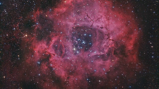 NGC 2244 - Rosettennebel NGC 2244 - Rosettennebel