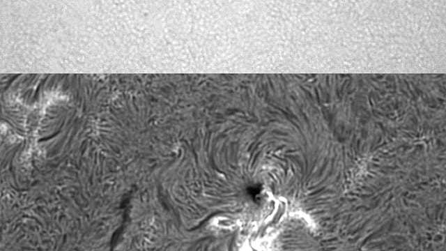 Sonnenfleck in Weißlicht und H-alpha Sonnenfleck in Weißlicht und H-alpha