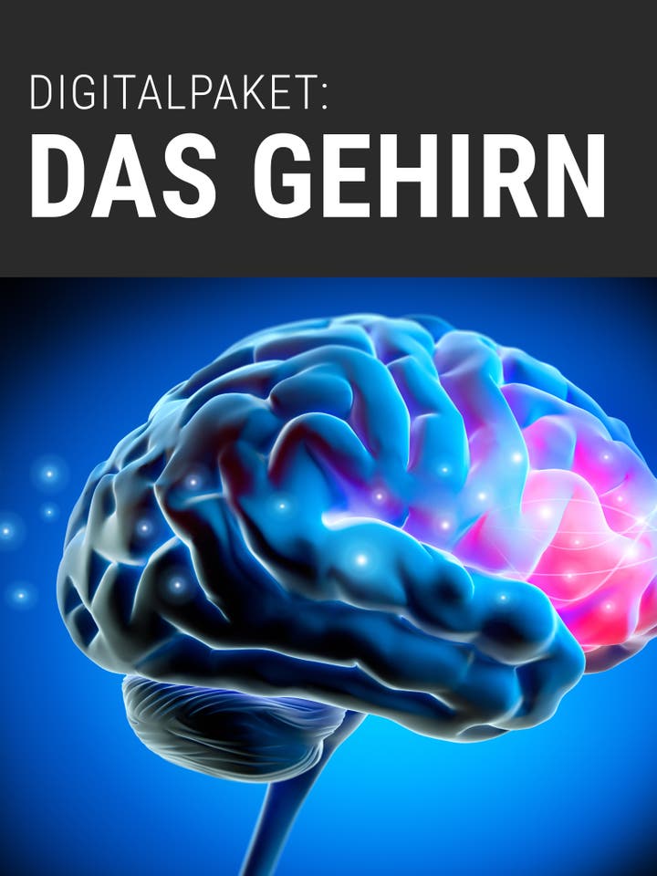 Spektrum.de Digitalpaket: Das Gehirn Spektrum.de Digitalpaket: Das Gehirn