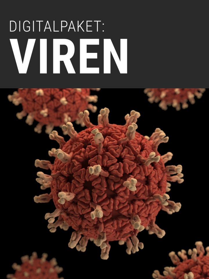 Spektrum der Wissenschaft Digitalpaket: Viren
