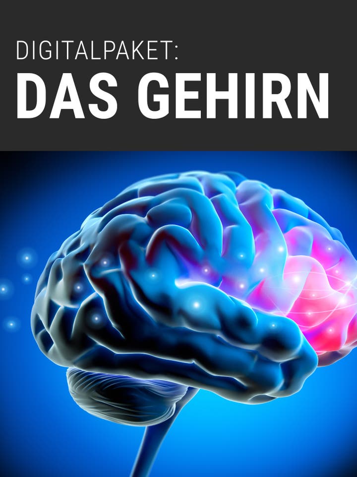 Spektrum.de Digitalpaket: Das Gehirn