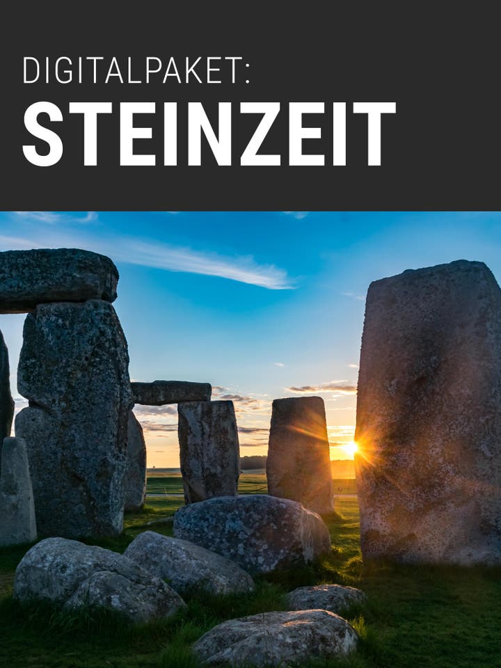 Digitalpaket Steinzeit Teaserbild