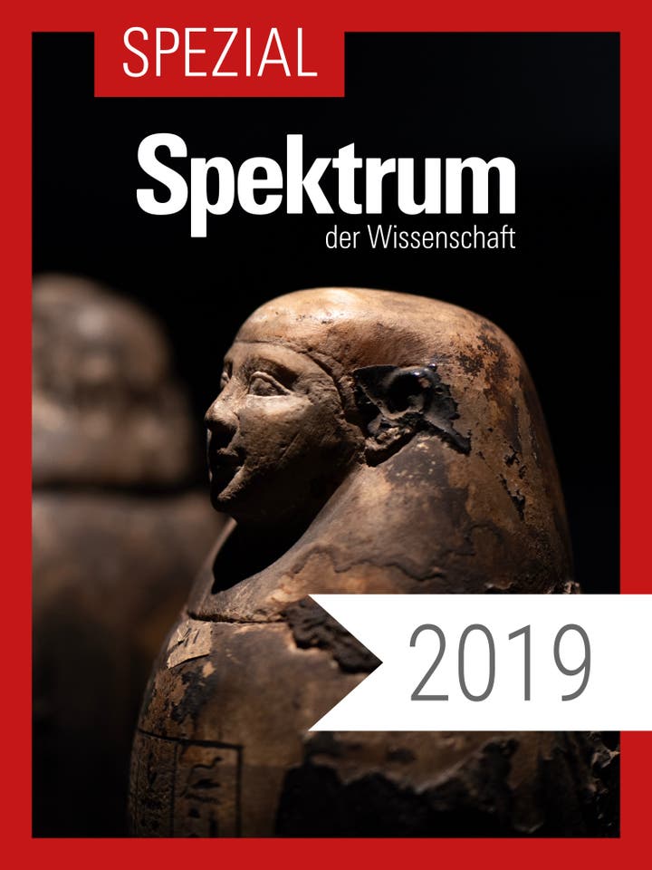 Spektrum der Wissenschaft Digitalpaket: Spezialreihe Archäologie-Geschichte-Kultur Jahrgang 2019