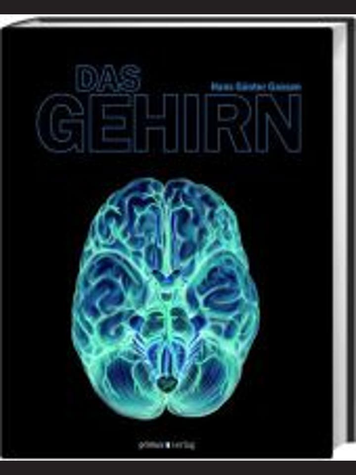 Hans Günter Gassen: Das Gehirn