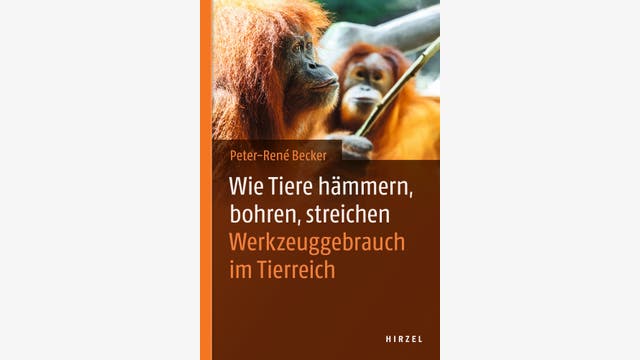 Peter-René Becker: Wie Tiere hämmern, bohren, streichen