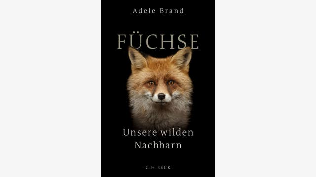 Adele Brand: Füchse