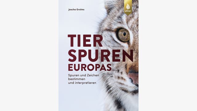 Joscha Grolms: Tierspuren Europas