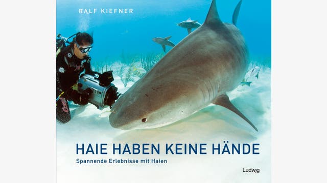 Ralf Kiefner: Haie haben keine Hände