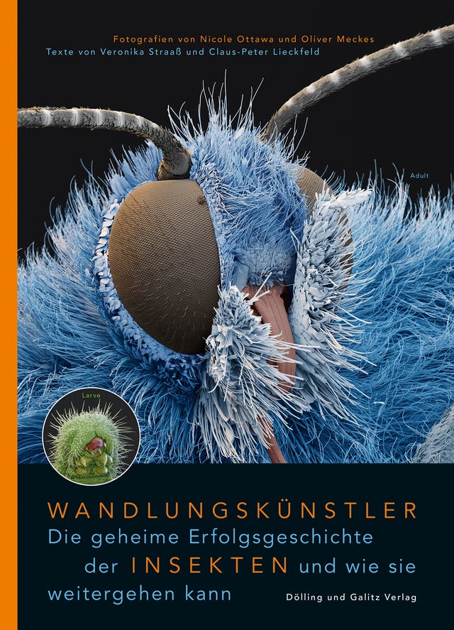 Veronika Straaß, Claus-Peter...