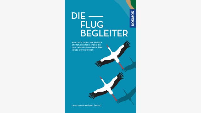 Christian Schwägerl: Die Flugbegleiter