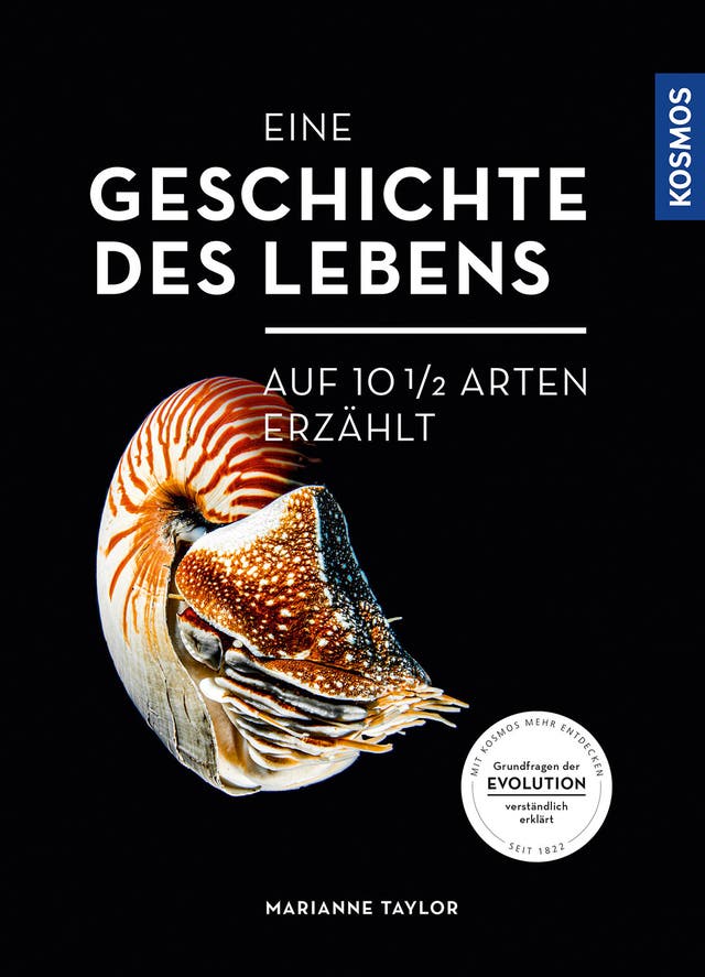 Marianne Taylor: Eine Geschichte...